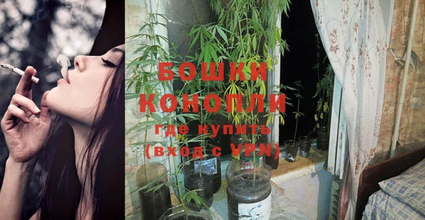 ГАЛЛЮЦИНОГЕННЫЕ ГРИБЫ Абдулино
