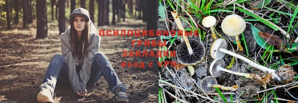 каннабис Абинск
