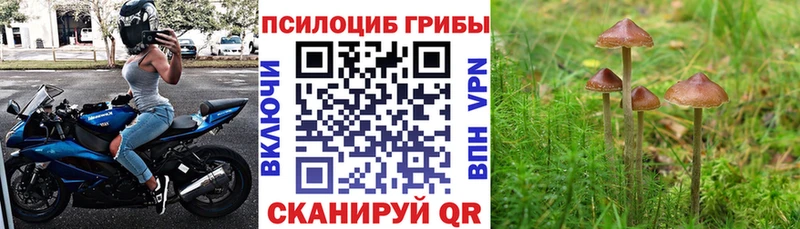 Галлюциногенные грибы ЛСД  купить  сайты  ссылка на мегу онион  Иваново 